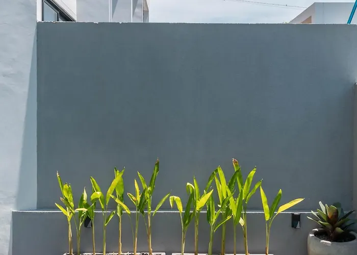 ヴィラ Sadila Estate - Stylish And Modern 2br Pool Loft In Berawa チャングー